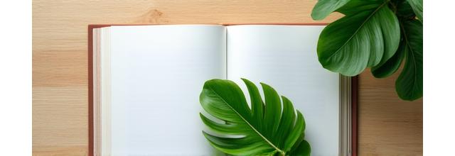 Open book with green leaf icon, representing a guide to sustainable building practices
